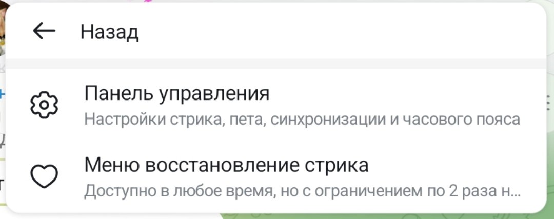 Открытое меню чата с пунктами Streaks